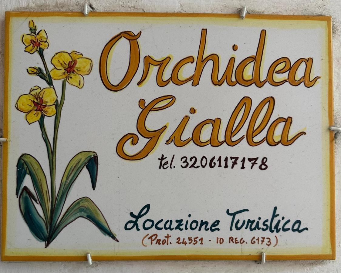 Orchidea Gialla 加埃塔 外观 照片