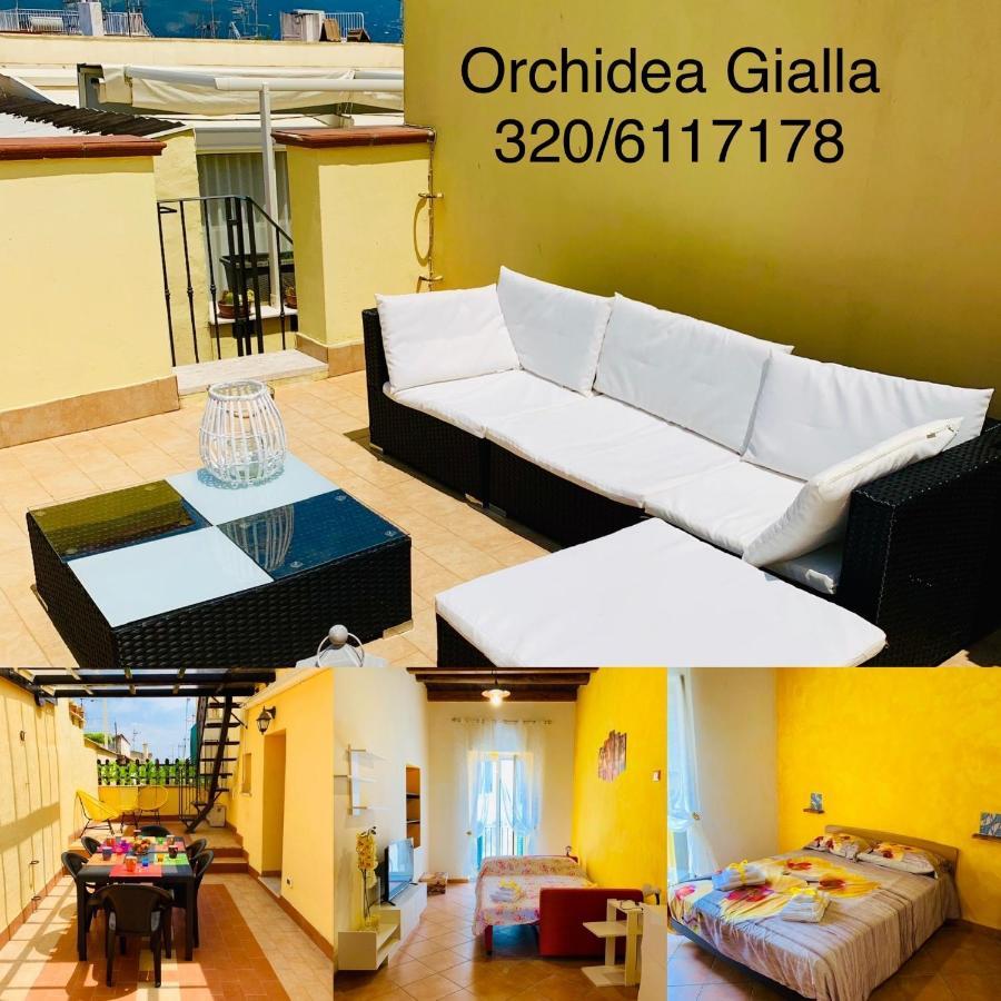 Orchidea Gialla 加埃塔 外观 照片